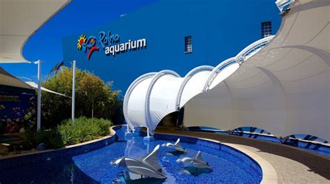 Palma Aquarium-Can Pastilla | Expedia.be