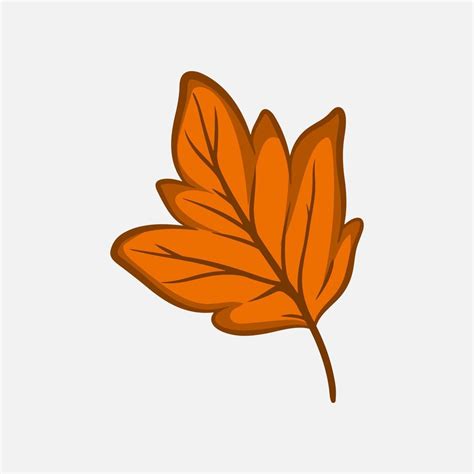 hand drawn autumn orange leaf clip art 13973902 Vector Art at Vecteezy