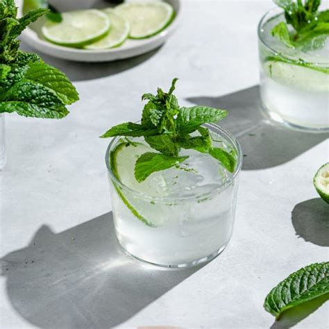 Lime Seltzer Cocktail • Wanderlust and Wellness