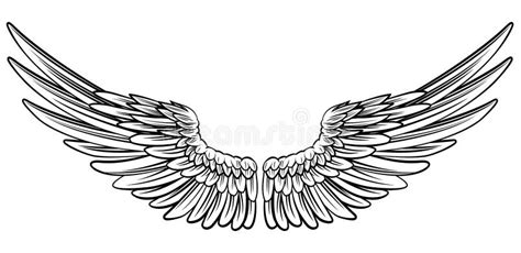 Pair of Spread Wings stock vector. Illustration of isolate - 82395059