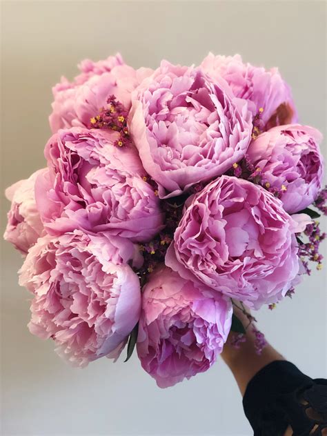 Pink peony bouquet | Bridal bouquet peonies, Pink peonies bouquet, Pink peonies