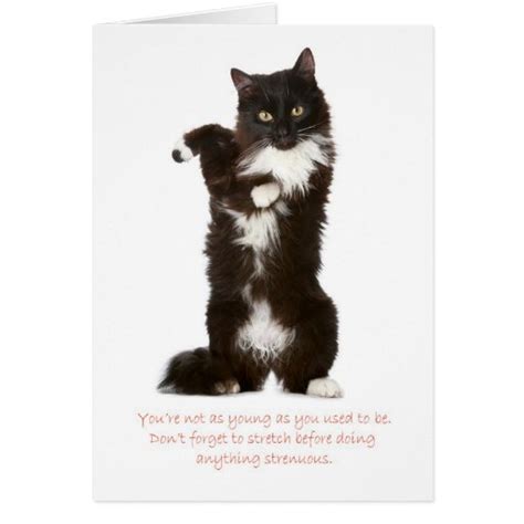 Funny Cat Birthday Card | Zazzle