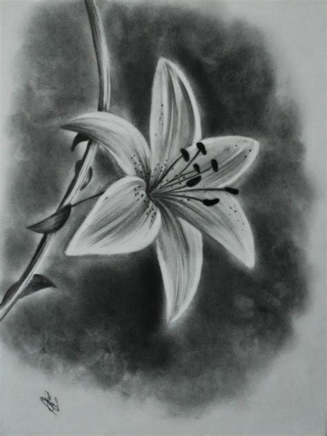 Pencil Sketches Of Flowers at PaintingValley.com | Explore collection ...