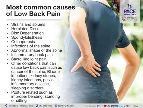 An overview of Low Back Pain | Causes, Risk Factors and Treatment