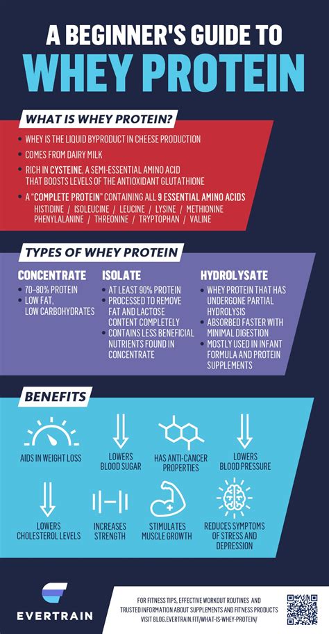 What Is Whey Protein | Types, Uses, And Health Benefits