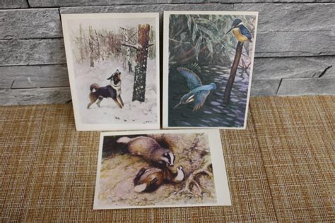 Set of Vintage Postcards With Animals 1975 Soviet Old Cards | Etsy