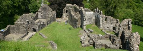 Okehampton Castle (Okehampton) - Visitor Information & Reviews