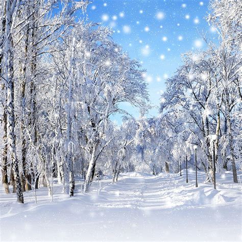 Kate 10x10ft Winter Snow Photography Background New Year Theme Photo Backdrop Frozen Tree Party ...