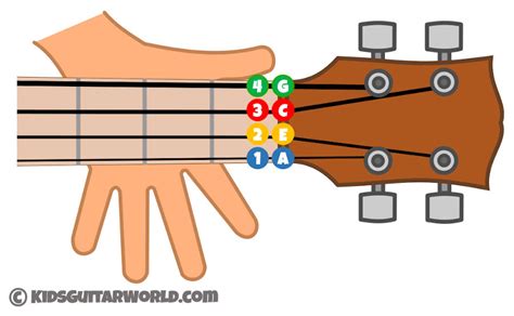 Ukulele String Notes, Names Numbers: What You Need Know, 44% OFF