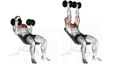 How To Do Incline Dumbbell Bench Press With Correctly