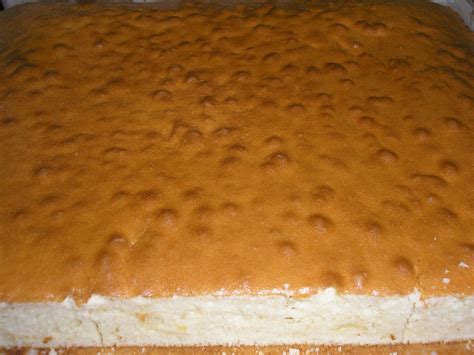 PLAIN WHITE SPONGE CAKE | WILSON FAMILY BAKERY