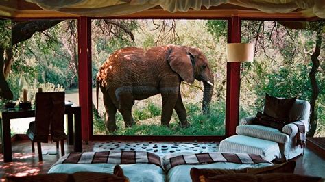 Top 10: most luxurious safari lodges in South Africa - the Luxury Travel Expert