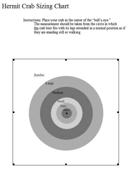 Hermit Crab sizing chart.