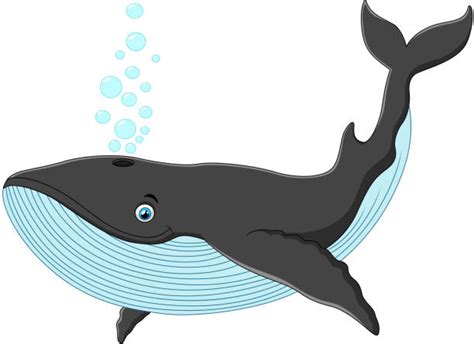 Cartoon Whale Clip Art, Vector Images & Illustrations - iStock