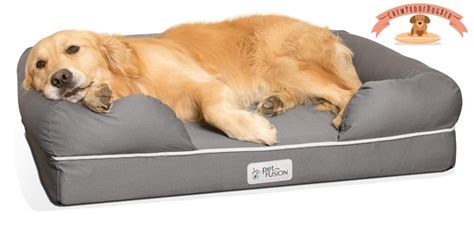 Best Chew Proof Dog Bed: Top 8 Beds Ideal For Heavy Chewers in 2022