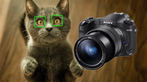 Sony RX10 IV Firmware Update Adds Real-Time Animal Eye AF | CineD