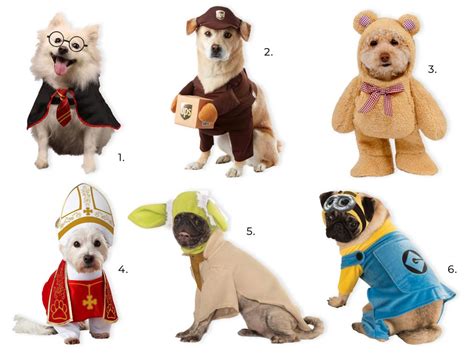 30+ Cute Halloween Costumes for Pitbulls - Hey, Djangles.