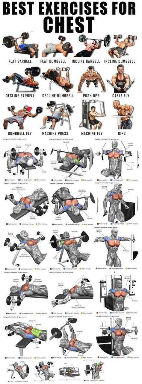 Pin by Albertkrgr on Methods of Exercise | Chest workouts, Workout plan ...