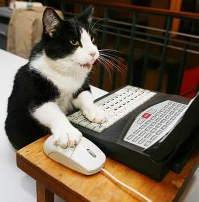 How to Be A Cat on a Keyboard - Social Media for Restaurants