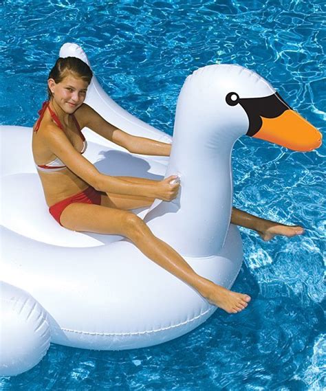 Giant Swan Float - Olympic Pool Services