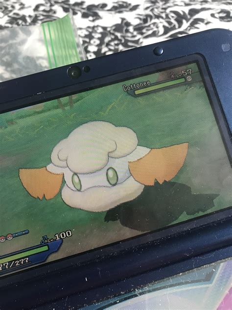 [7] Random shiny Cottonee while looking for a Chansey! First ever ...