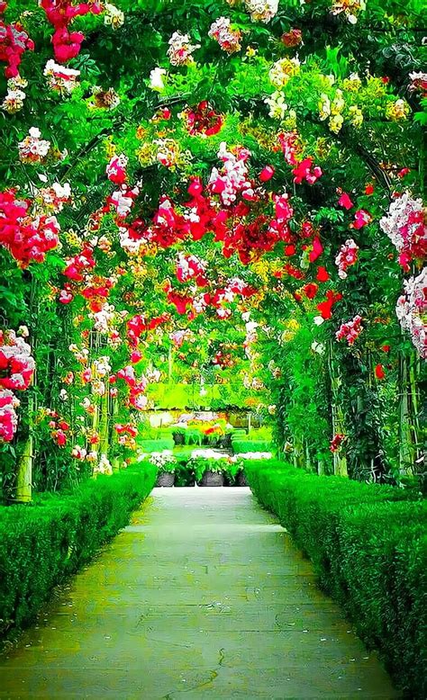 Garden Background | Flower garden, Beautiful flowers photography, Beautiful locations nature