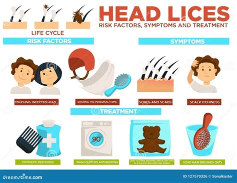 Head Lice Risk Factors Symptoms and Treatment Poster Vector Stock Vector - Illustration of ...