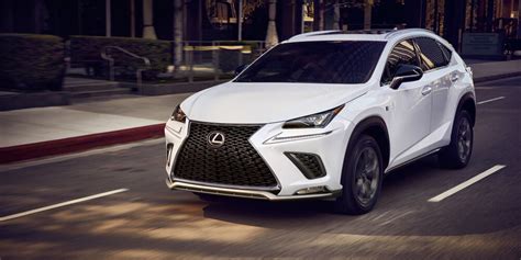 What Are the Lexus SUV Models? | Lexus SUVs | Lexus of Tampa Bay