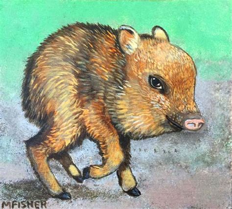 Baby Javelina (sold) – Maria Fisher Art