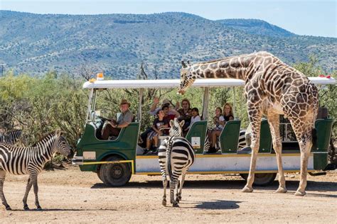 Best Safari Park Winners (2019) | USA TODAY 10Best