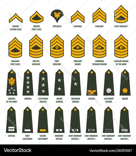 Usa army enlisted ranks chevrons with insignia Vector Image