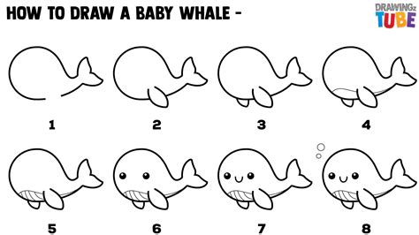 How To Draw A Whale Step By Step at Drawing Tutorials