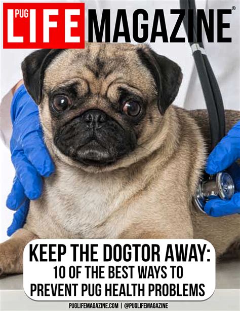 Keep the Dogtor Away: Preventing Pug Health Problems