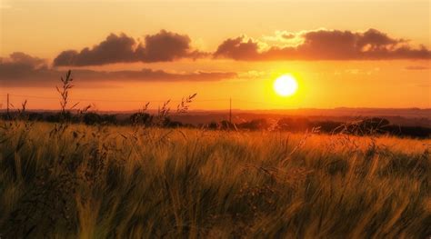 beautiful, Nature, Grass, Sunset, Field, Sky Wallpapers HD / Desktop and Mobile Backgrounds