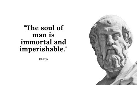 Plato: 50+ Powerful Quotes from the Dialogues - Nirvanic Insights