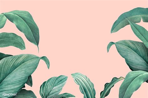 Hand drawn tropical leaves on a pastel pink backgrounds, aesthetic plants HD wallpaper | Pxfuel