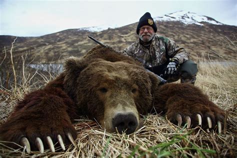 Brown Bear Hunting Gallery | Arctic North Guides