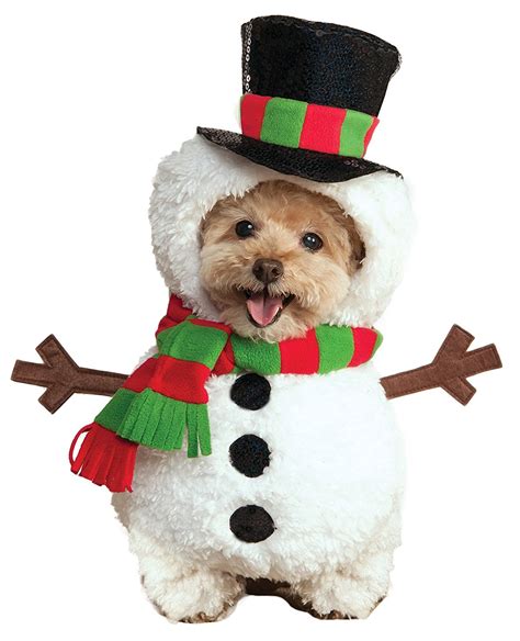 11 Best Christmas Dog Outfits to Get Your Dog in the Holiday Spirit | The Dog People by Rover.com