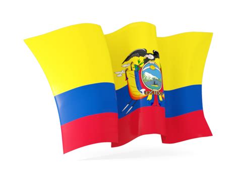 Waving flag. Illustration of flag of Ecuador