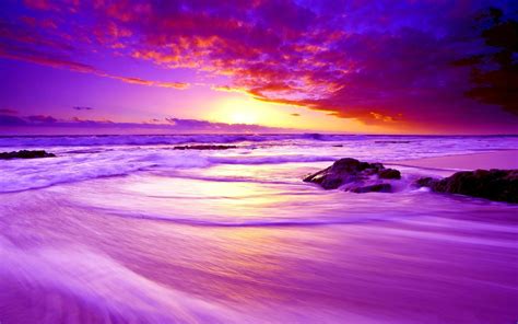 Download Horizon Purple Cloud Sea Ocean Beach Nature Sunset HD Wallpaper