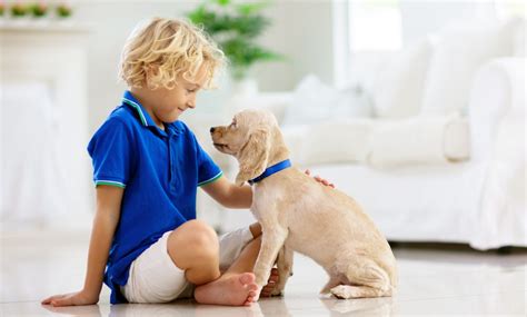 13 Ways to Teach Kids How to Interact with Dogs Safely!