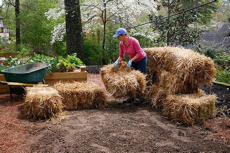 56 Hay bale gardening ideas | hay bale gardening, straw bale gardening ...