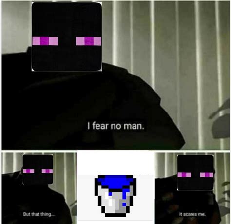 Funny Minecraft Enderman Memes