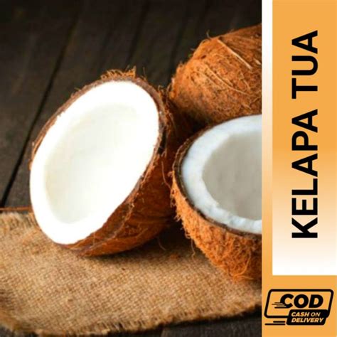 Jual KELAPA TUA / KELAPA PARUT / KELAPA BAHAN SANTAN | Shopee Indonesia