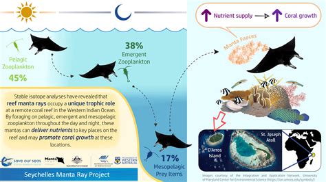 Reef manta rays may promote the growth of coral reefs in Seychelles - Save Our Seas Foundation