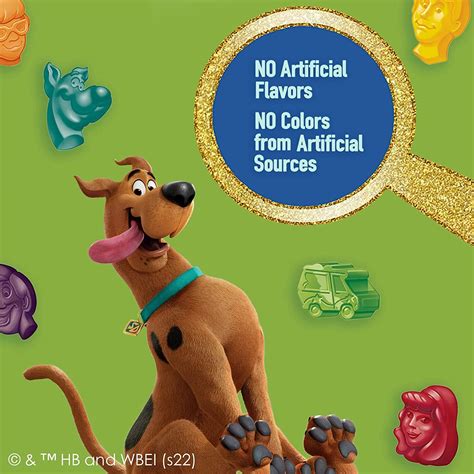 Scooby Doo Fruit Flavored Gummy Treat Pouches - Value Pack (22 ct)