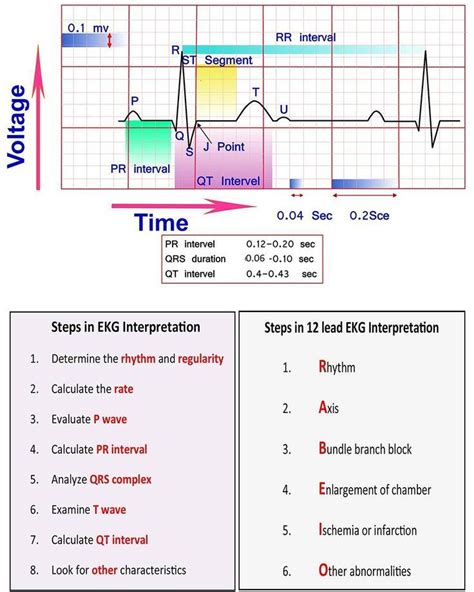 How To Learn Ecg - Economicsprogress5