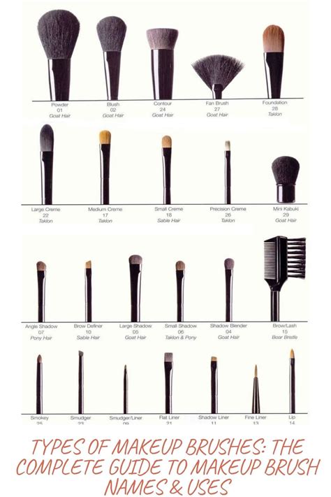 TYPES OF MAKEUP BRUSHES: THE COMPLETE GUIDE TO MAKEUP BRUSH NAMES & USES - Pukrol Satwa