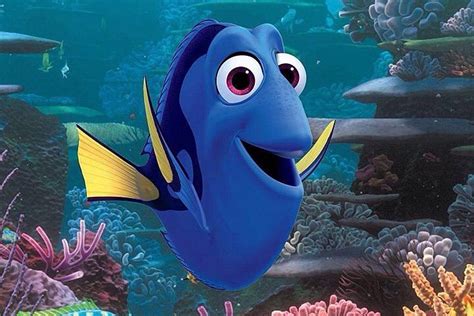 Types of Fish in Finding Nemo/Dory | Cartoon Amino