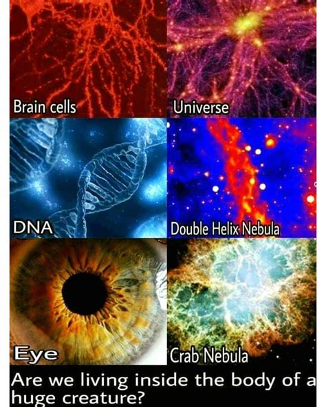 Double Helix Nebula